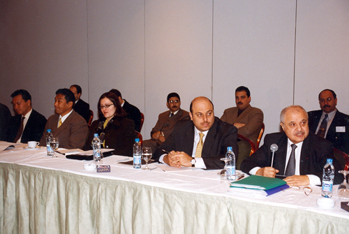 Meetings of the Arab Network of the UN ICT TF