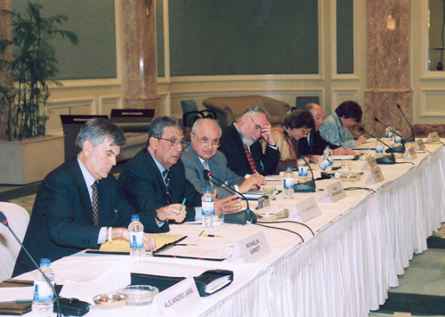 Evian Group-Arab Region meeting